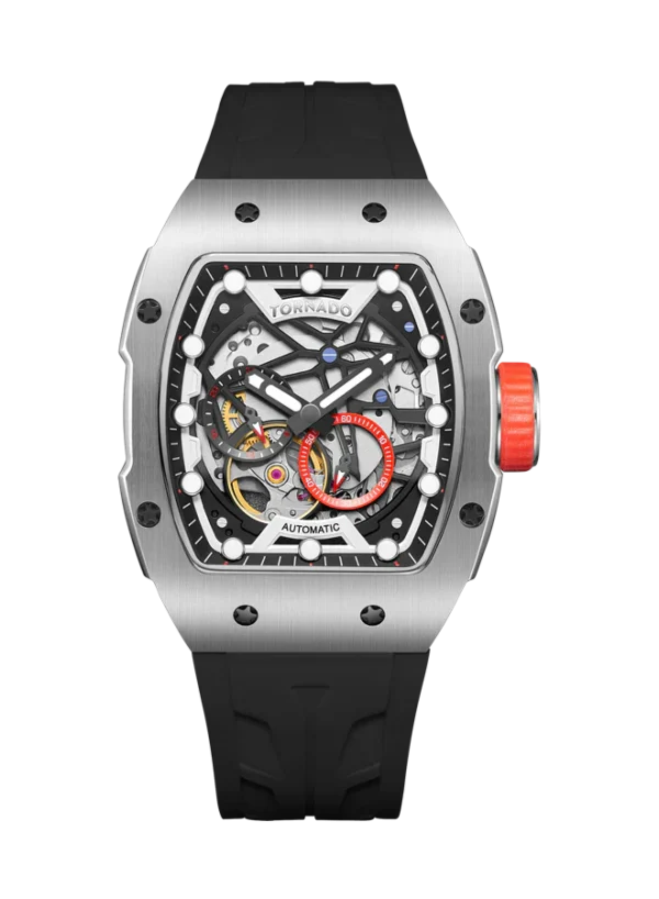 Swiss luxury watch with stainless steel band