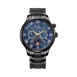 CITIZEN AP1055-87L