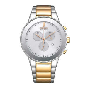 CITIZEN AT2244-84A