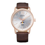 CITIZEN AK5003-05A